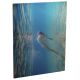 CHROMALUXE ALUMINUM CLEAR GLOSS FILM 1S 49X97X.045